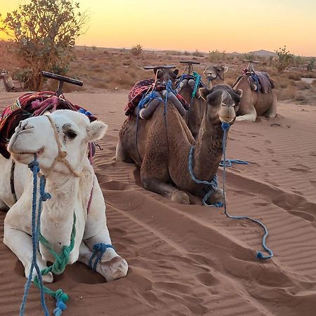 Desert Bivouac Mhamid Zewnętrze zdjęcie