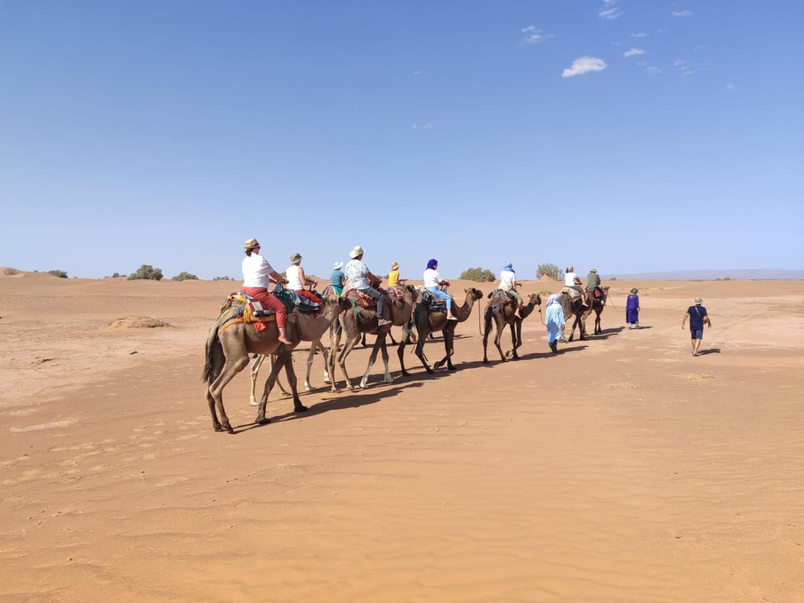 Desert Bivouac Mhamid Zewnętrze zdjęcie