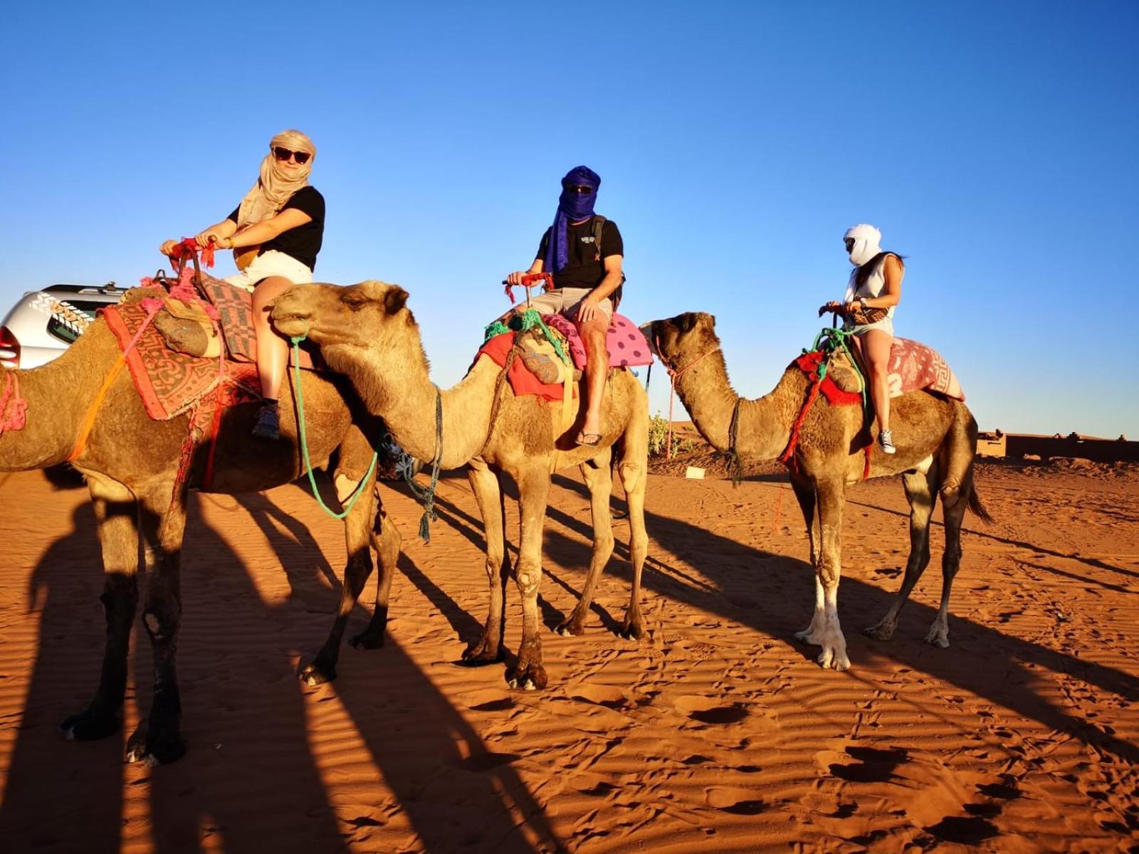 Desert Bivouac Mhamid Zewnętrze zdjęcie