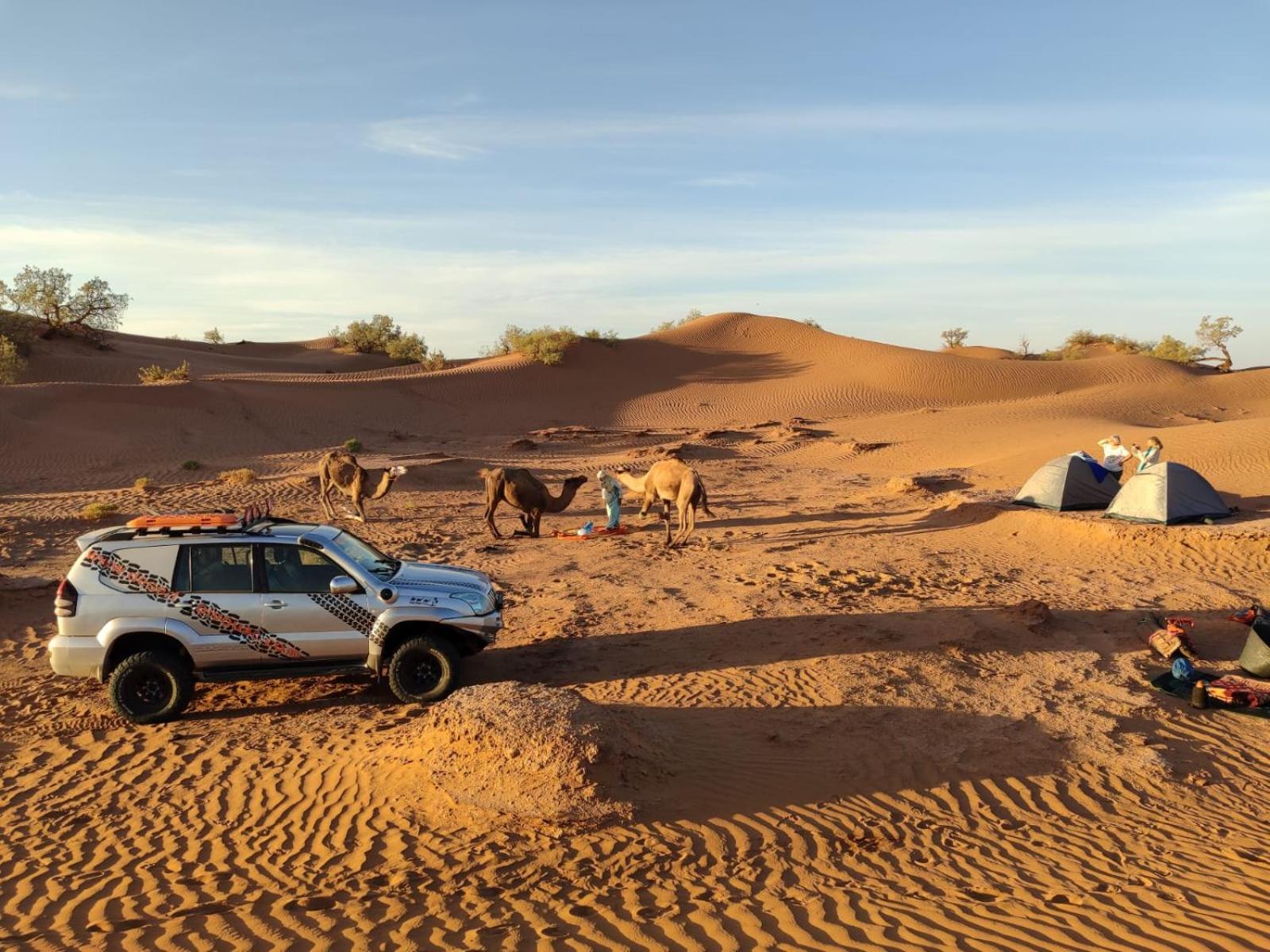 Desert Bivouac Mhamid Zewnętrze zdjęcie