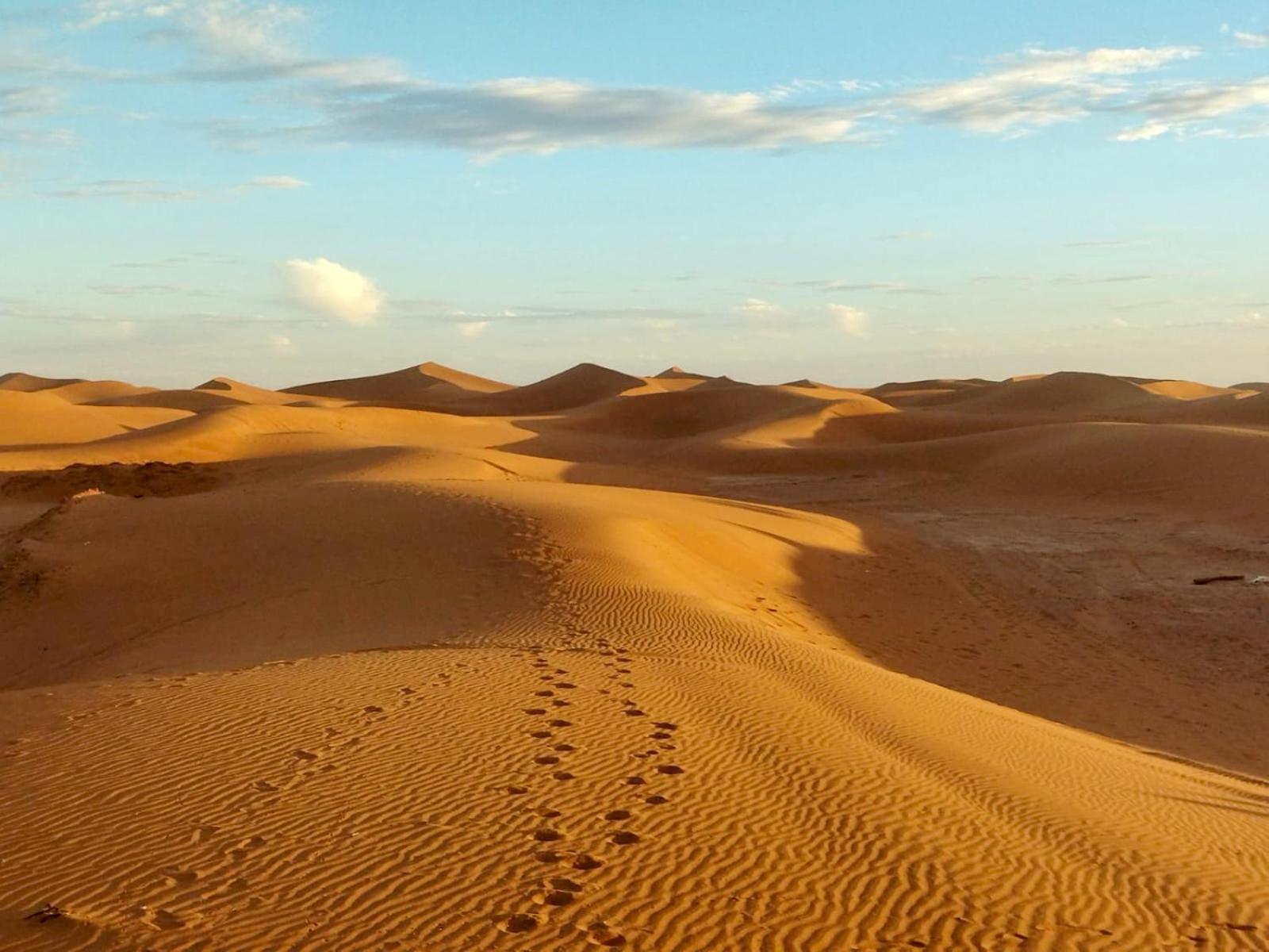 Desert Bivouac Mhamid Zewnętrze zdjęcie